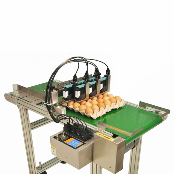 WLD-Egg egg code printing machine