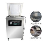 DZ-500/2E Single chamber vacuum machine